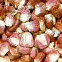 [red corn]